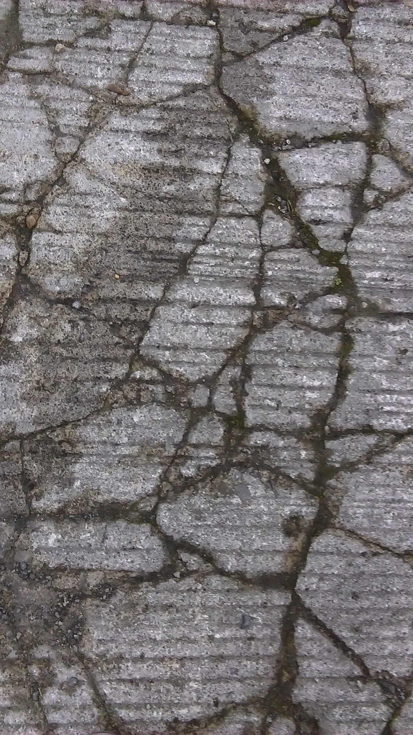 Photograph of multiple cracks in concrete slab