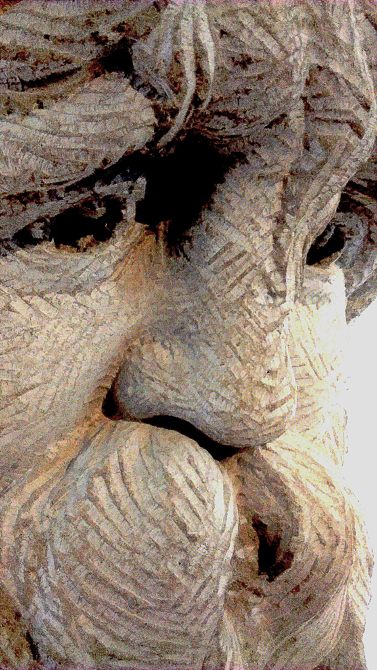 Photograph of stone head Adventure Capital, 2015 by Sean Lynch